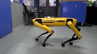 Birbirine Yardım Eden Boston Dynamics Robotları