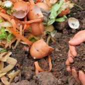 Kompost Nedir? Kompost Kullanım Alanları Nelerdir?