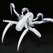 Örümcekten Esinlenerek Tasarlanan Robot - BionicWheelBot